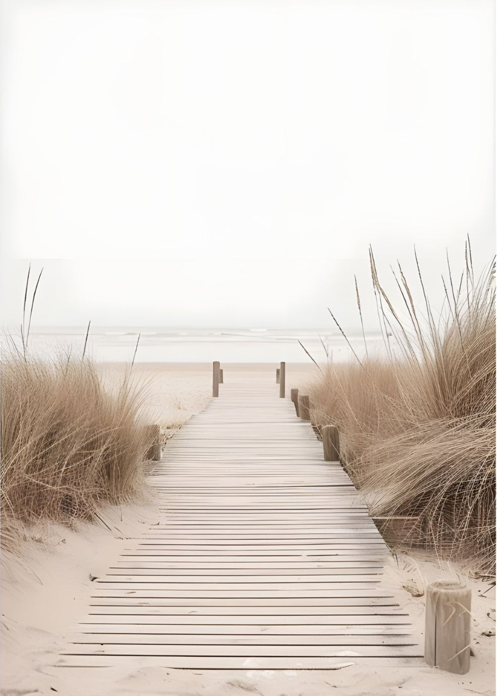 Wooden pathway leading to the beach surrounded by tall grasses.